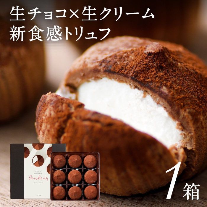 シャンティ・ショコラ・ボヌール(チョコレート)[9個入]