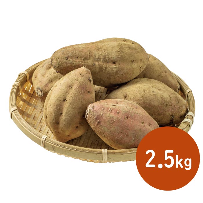 鹿児島県種子島産安納芋 2.5kg 2.5kg