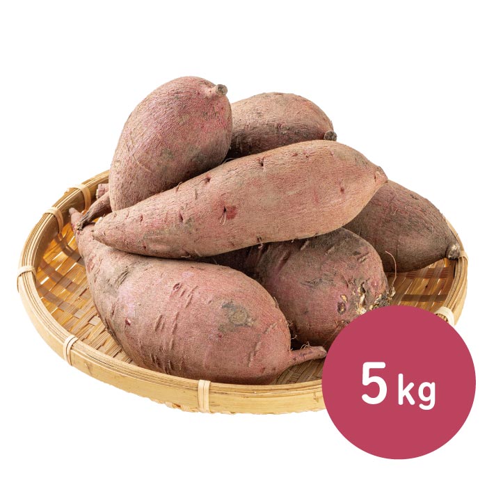 鹿児島産シルクスイート 5kg 5kg