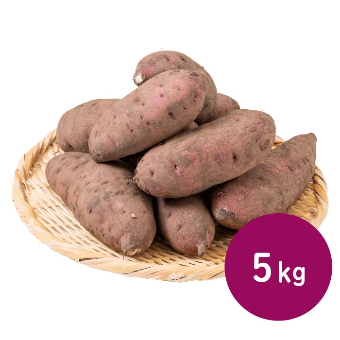 鹿児島産紅はるか5kg【熟成芋】 5kg
