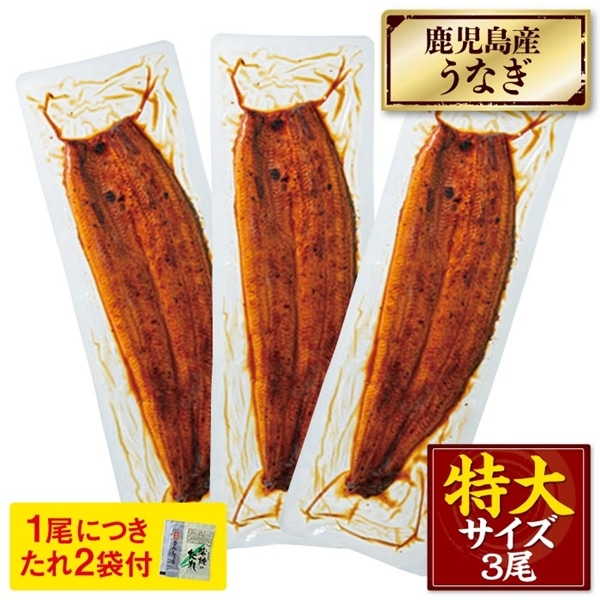 鹿児島産特大うなぎ蒲焼[養殖]3尾【ﾀﾞﾝﾎﾞｰﾙ箱】 段ボール箱入 210g×3尾（無頭）