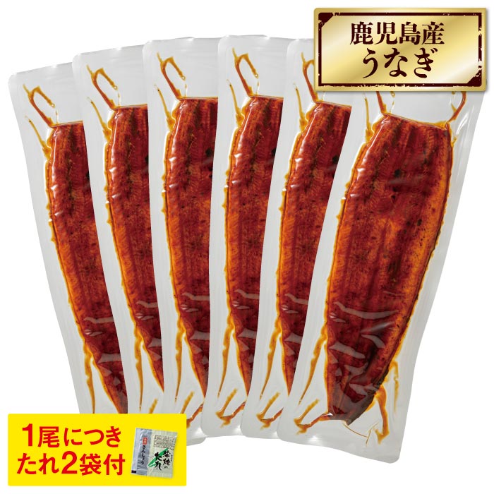 鹿児島産特大うなぎ蒲焼6尾セット 200g×6尾