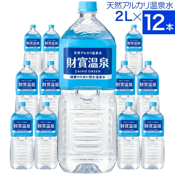 財寶温泉2Lボトル×12本入箱