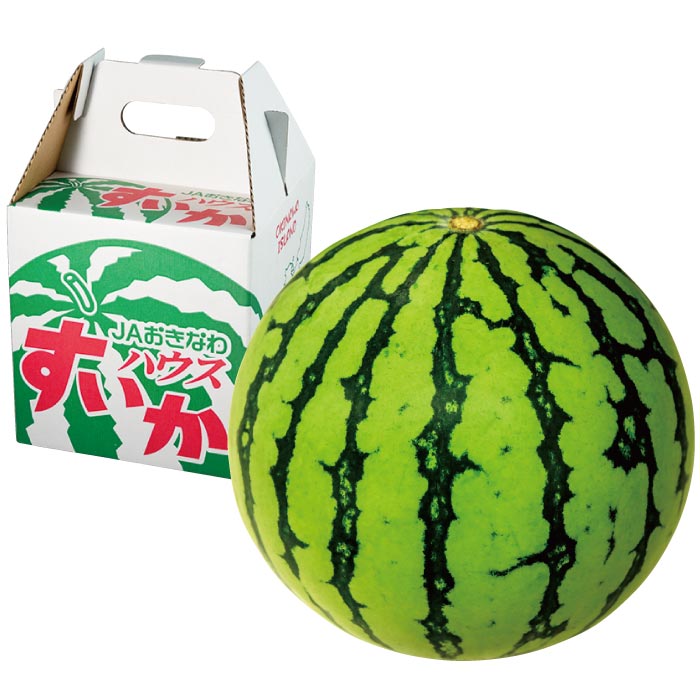 今帰仁（なきじん）すいか1玉