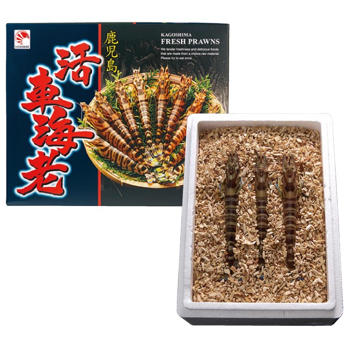 鹿児島産活き車えび[養殖]200g