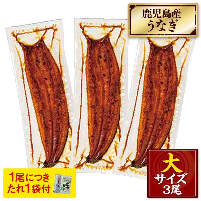 鹿児島産大うなぎ蒲焼[養殖]3尾【ﾀﾞﾝﾎﾞｰﾙ箱】