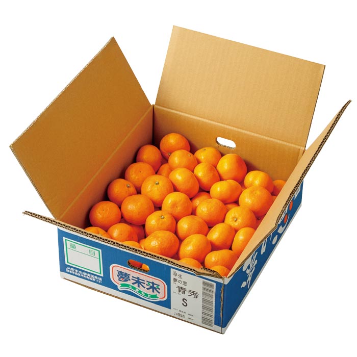 熊本みかん「夢の恵」[4kg]