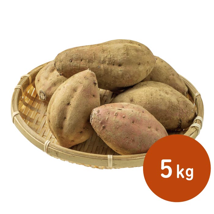 鹿児島県種子島産安納芋 5kg