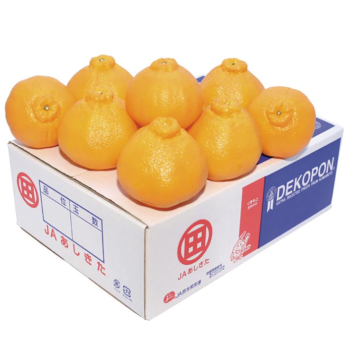 熊本県あしきた産デコポン(3kg)