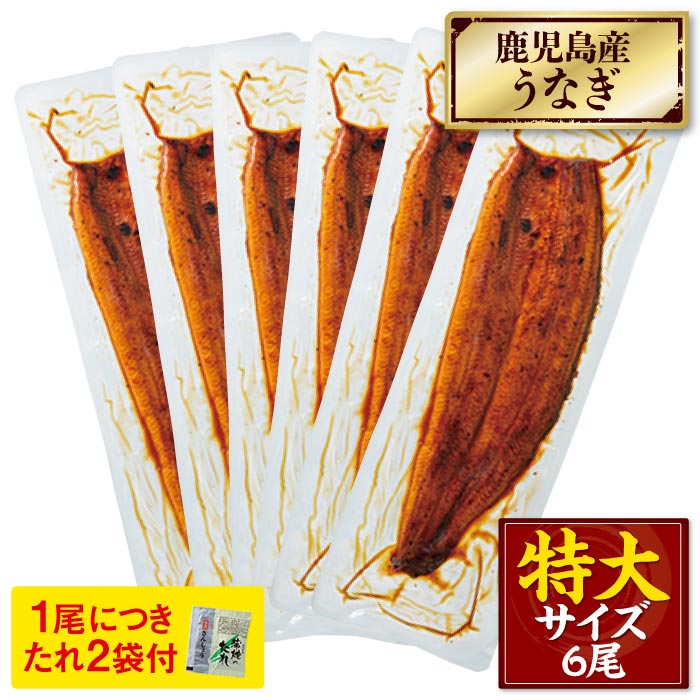 鹿児島産特大うなぎ蒲焼[養殖]6尾【ﾀﾞﾝﾎﾞｰﾙ箱】