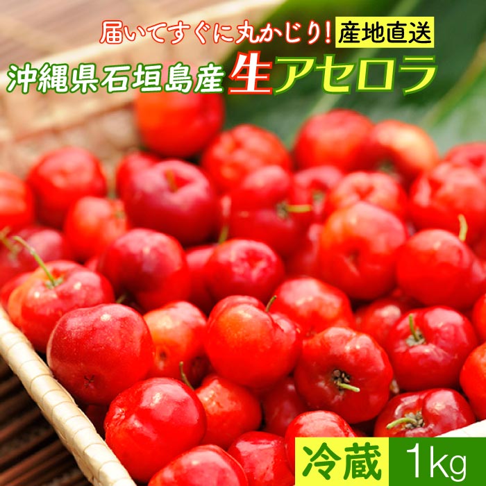 沖縄県石垣島産　生アセロラ1kg