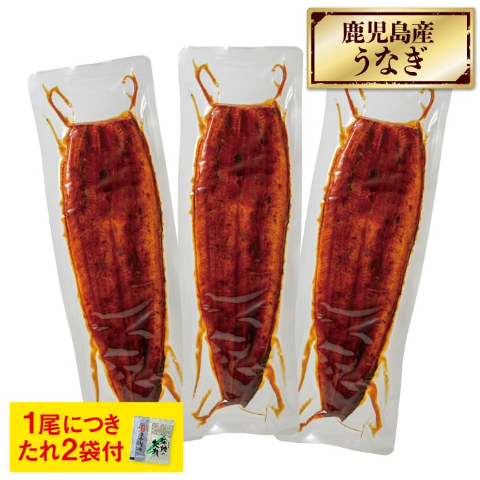鹿児島産特大うなぎ蒲焼3尾セット
