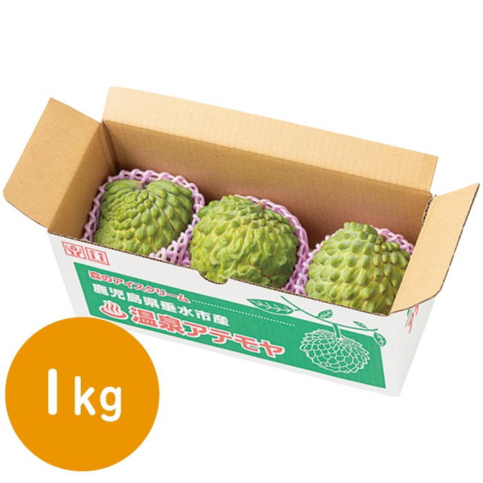 鹿児島産温泉アテモヤ1kg