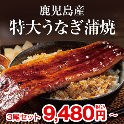 鹿児島県産特大うなぎ蒲焼