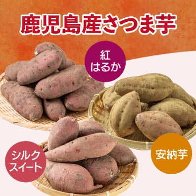 生芋