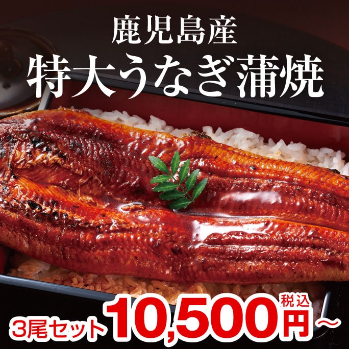 鹿児島県産特大うなぎ蒲焼